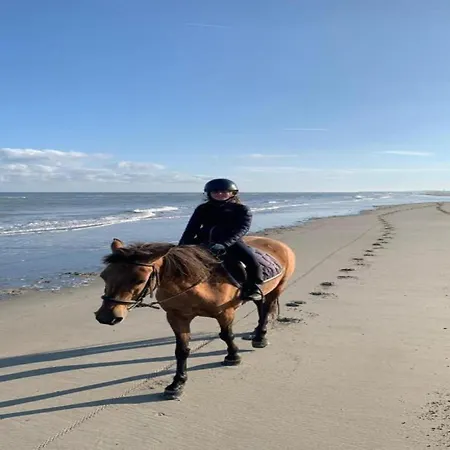 Vakantiehuis In Near Sint-andre Beach, Cleaning Included *