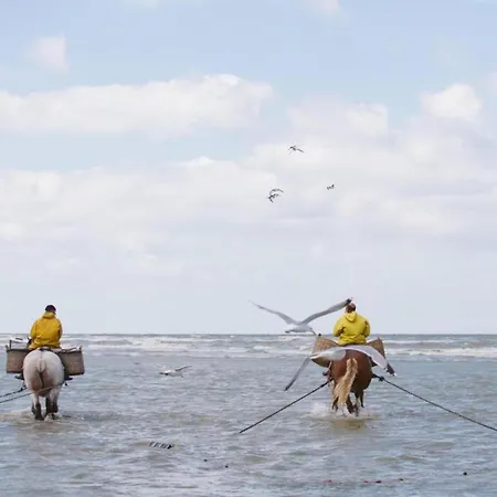 In Near Sint-andre Beach, Cleaning Included