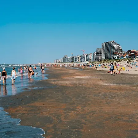 In Near Sint-andre Beach, Cleaning Included *